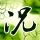 西贝回应十年老店关闭